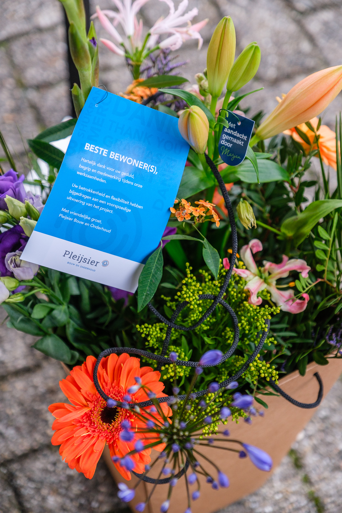 Pleijsier Bouw en Onderhoud_Pleijsier Vastgoed Verduurzaming_Buurt Bakkie Bloemenbuurt Almere_2025 (59)